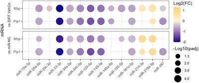 MicroRNAs dysregulated in multiple sclerosis affect the differentiation of CG-4 cells, an oligodendrocyte progenitor cell line
